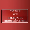 Паспортно-визовые службы в Большевике